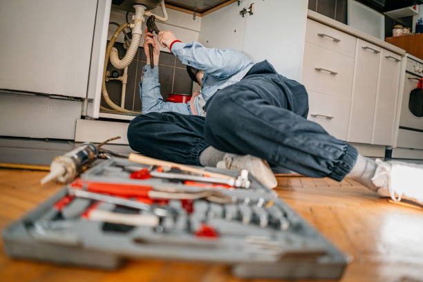 Best Local Plumber Services  in Pine Crest, TN
