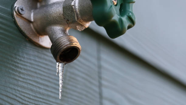 Best Plumbing Repair Near Me  in Pine Crest, TN