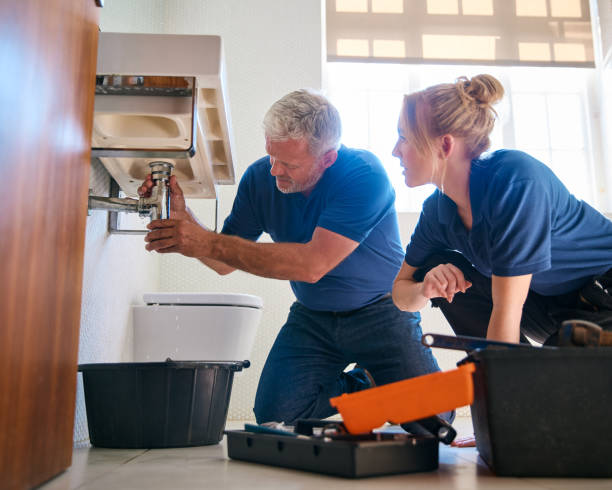 Best Clogged Drain Plumber  in Pine Crest, TN